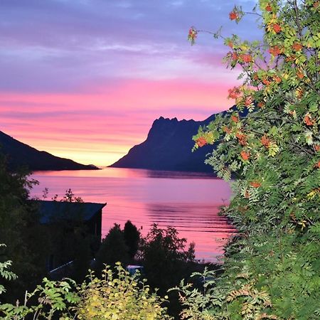Готель The Crush Ersfjordbotn Екстер'єр фото